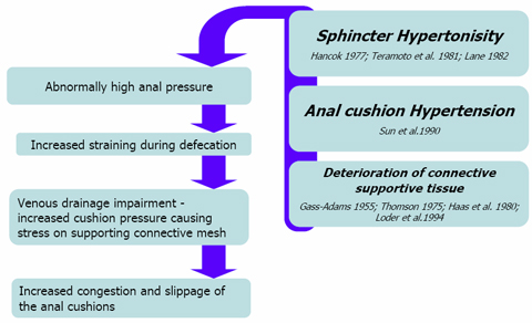 hemorrhoids-6