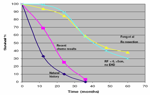rfablation-11